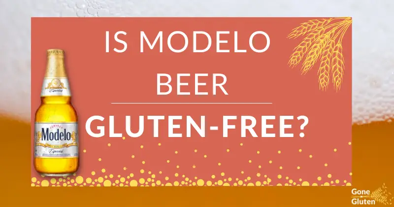 Is Is Modelo Beer Gluten-Free